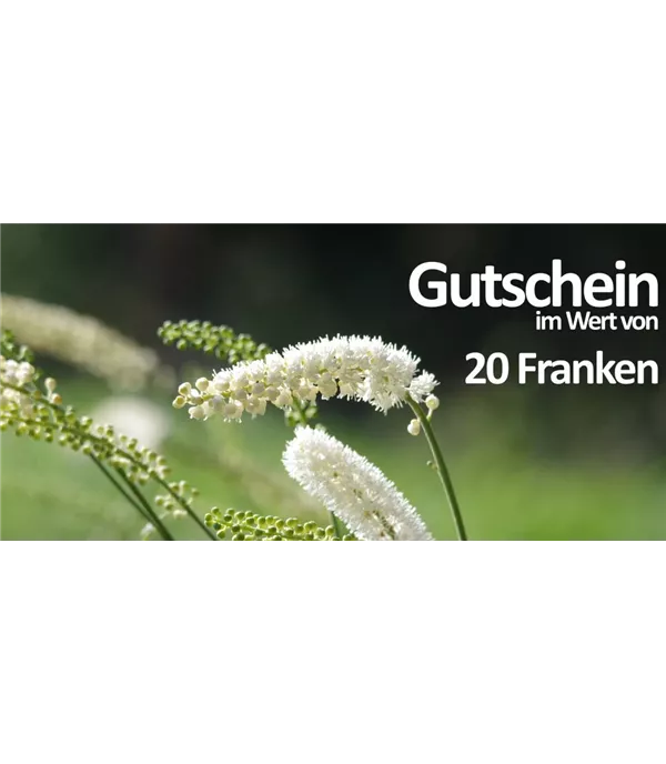 Gutschein 20CHF