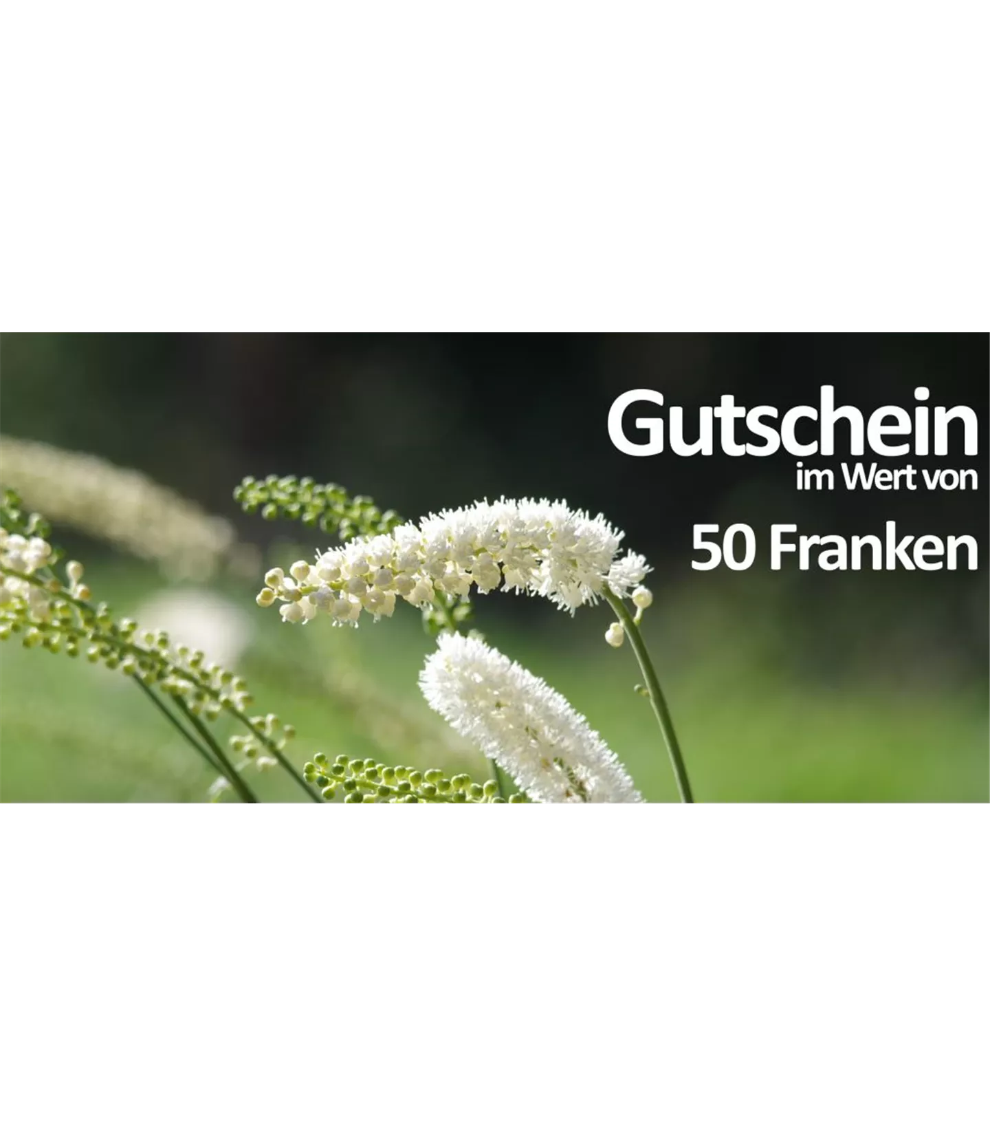 Gutschein 50CHF