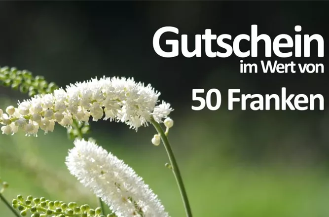 Gutschein 50.jpg