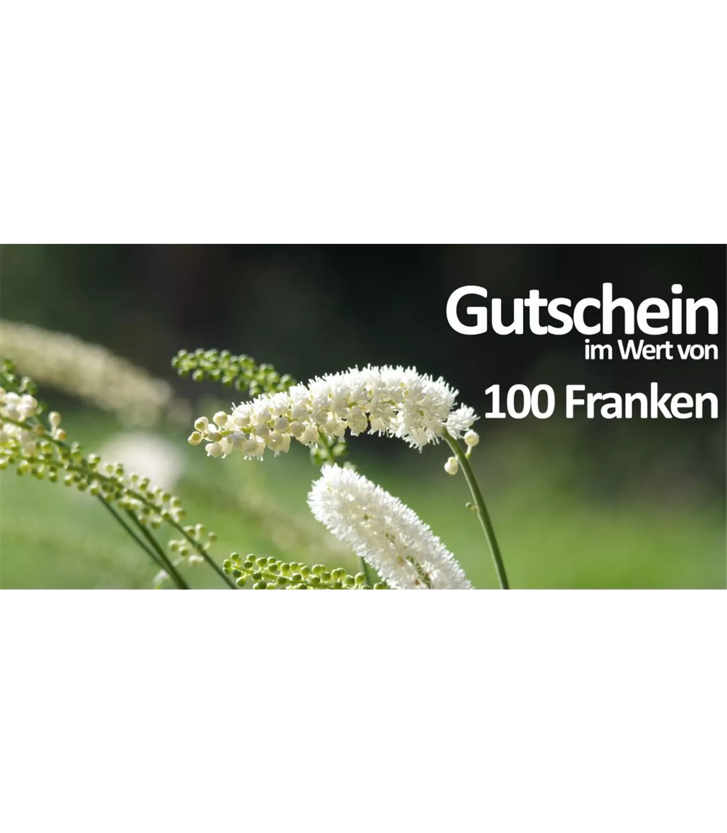 Gutschein 100CHF