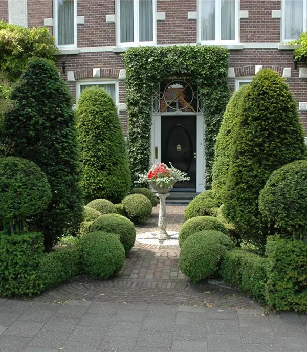 Formgehölze in Haus und Garten - Ein attraktiver Blickfang 