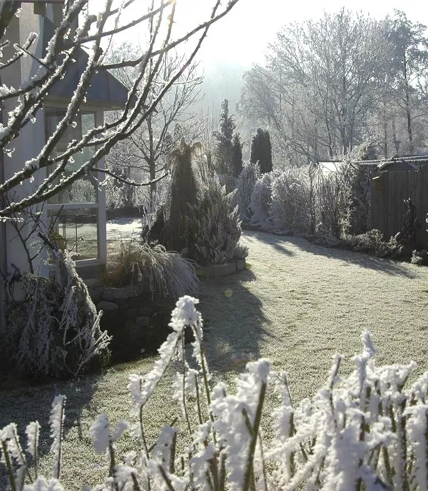 Es wird Zeit für die alljährliche Gartenarbeit im Winter 