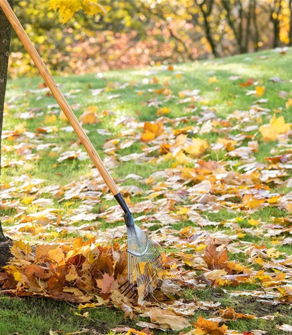 Herbstlaub – Herrlich bunt und sehr nützlich