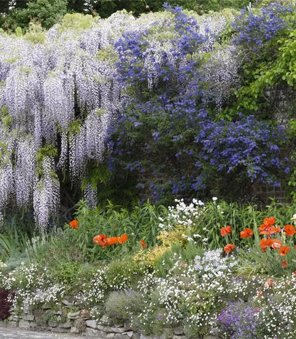 Im Winter wird der Gartenplan fürs nächste Jahr entworfen