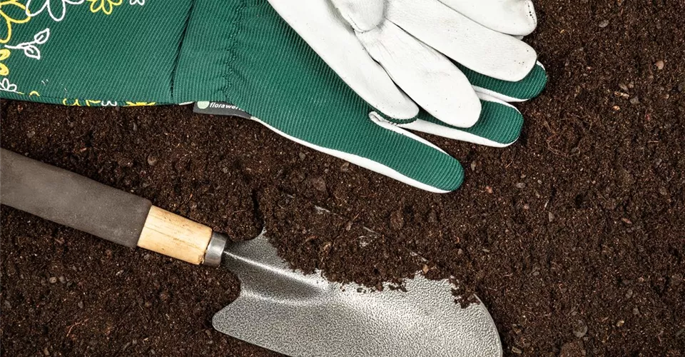 Gartenbedarf kaufen und die Pflanzen perfekt versorgen