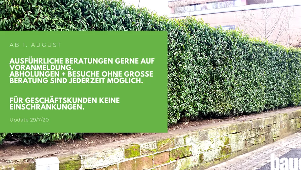 L'école des arbres est fermée aux clients privés. Utilisez notre magasin d'usine comme un client privé