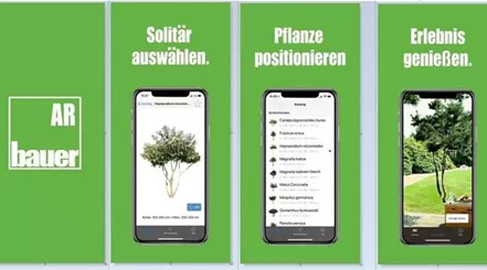 Vorschaubilder AR App (1).jpg