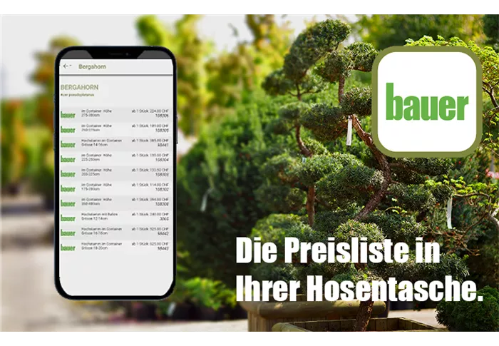Bauer Preislisten app.png