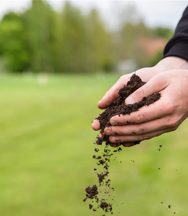 Gartenerden und ihre Einsatzbereiche 