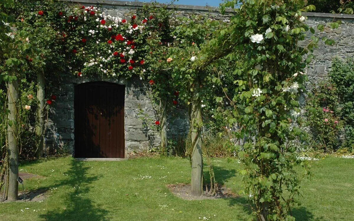 Natuerliche-Beschattung-Pergola.jpg