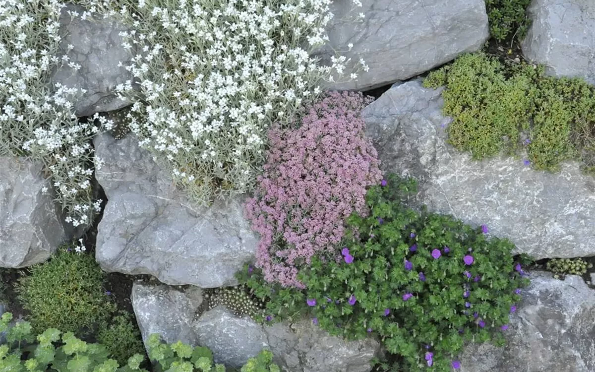 Steine für den Steingarten